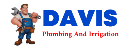 Trusted plumber in DEPUTY